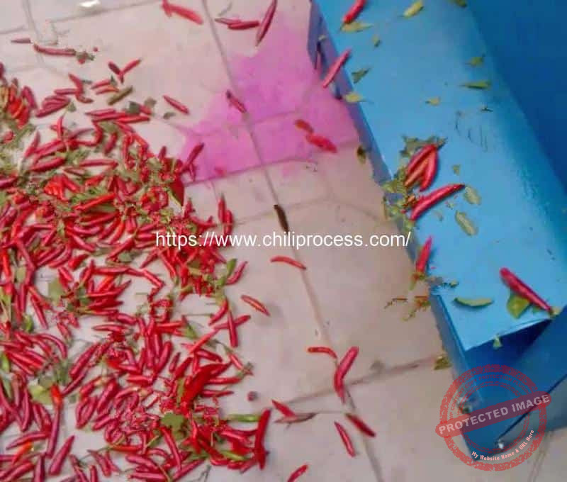 Automatic Chili Pepper Picking Machine Result Automatic-Chili-Pepper-Picking-Machine-Result